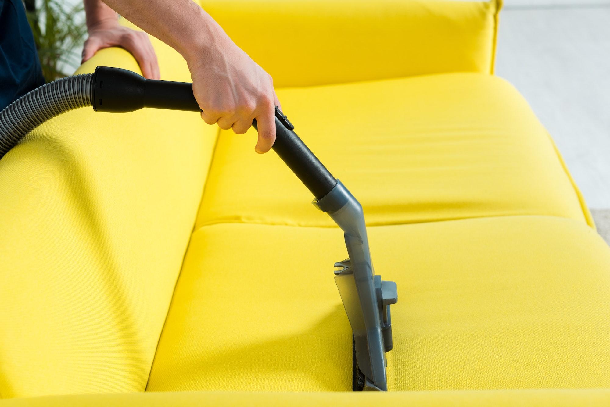 cropped view of cleaner dry cleaning modern sofa with vacuum cleaner